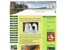 Tablet Screenshot of majesticwaterfowl.org